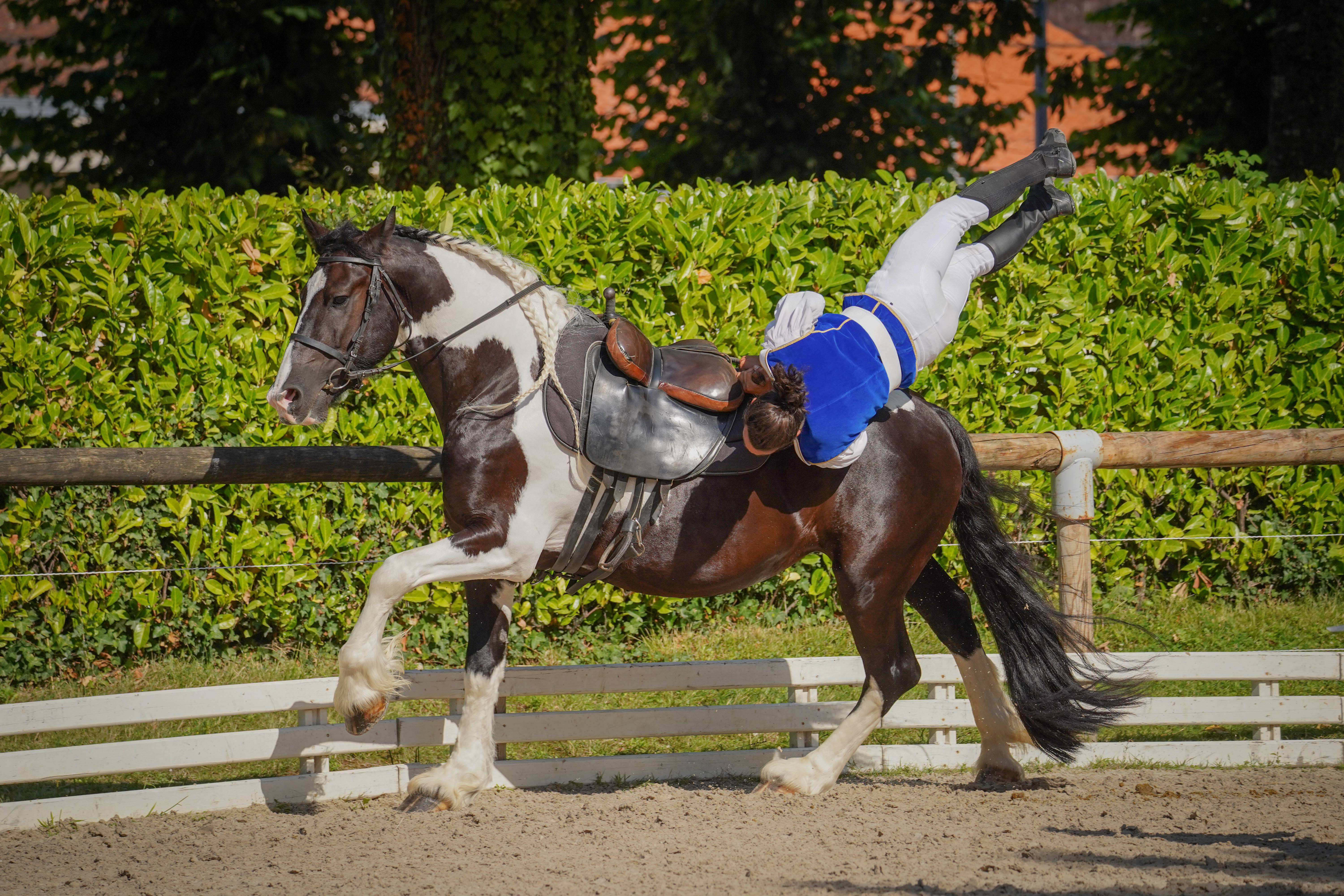 Cheval d'Empereur